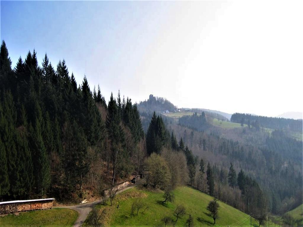 Ferienwohnung Burgblick Зельбах Экстерьер фото