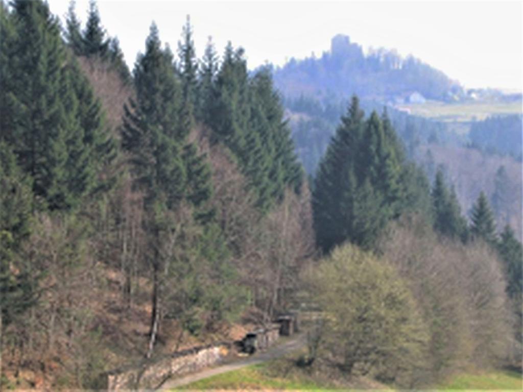 Ferienwohnung Burgblick Зельбах Экстерьер фото